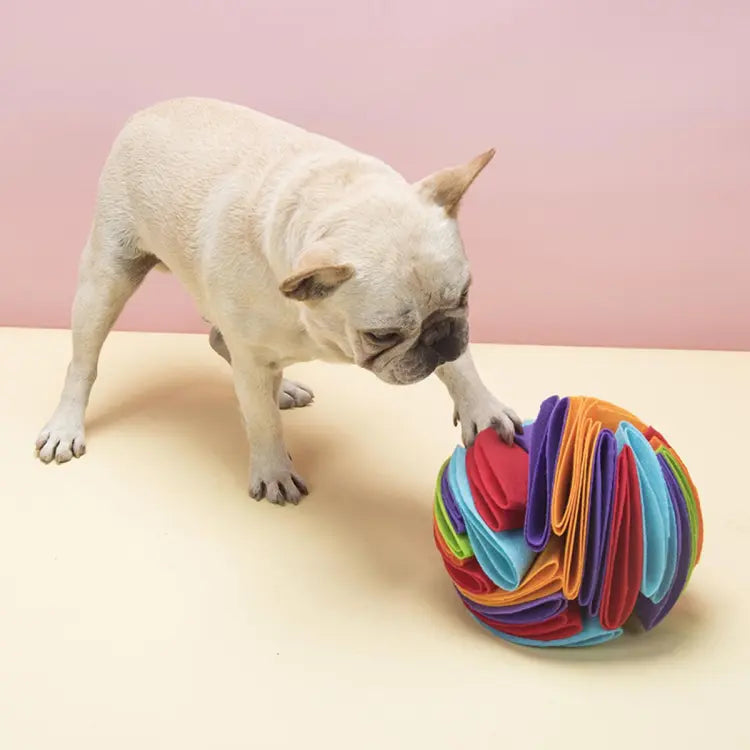 Foldable Snuffle Cloud Toy Ball